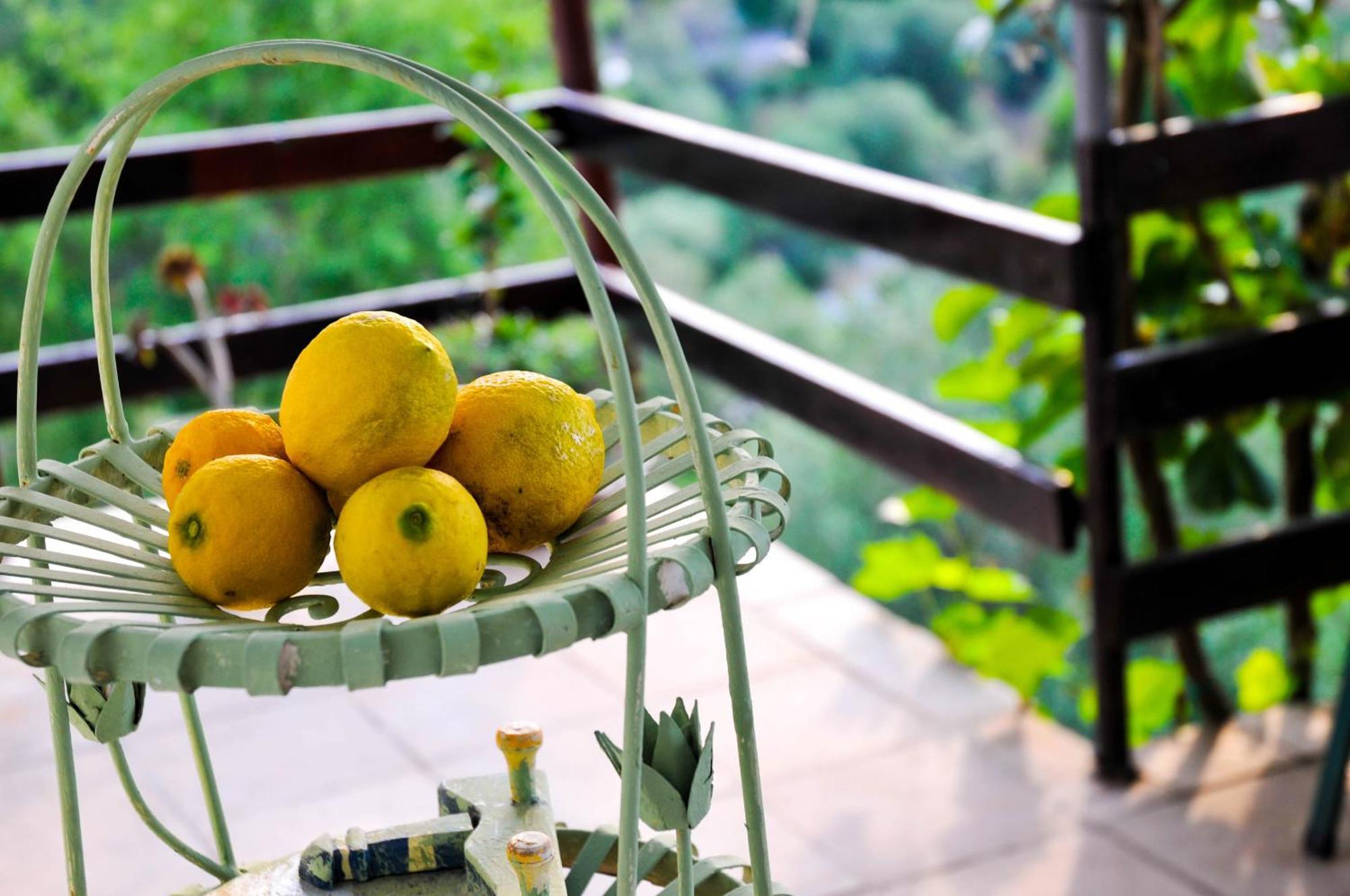 Bellavista Peljesac Peninsula Bed and Breakfast Dubrava  Rum bild