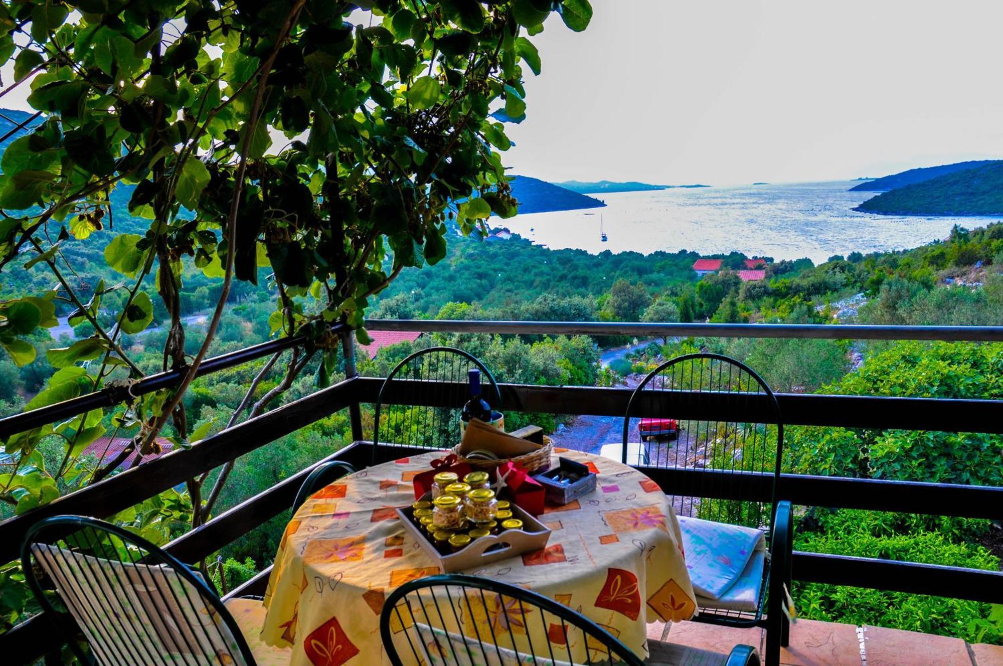Bellavista Peljesac Peninsula Bed and Breakfast Dubrava  Rum bild