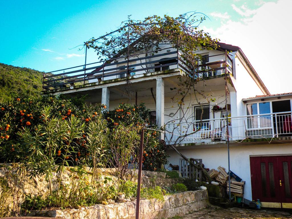 Bellavista Peljesac Peninsula Bed and Breakfast Dubrava  Rum bild