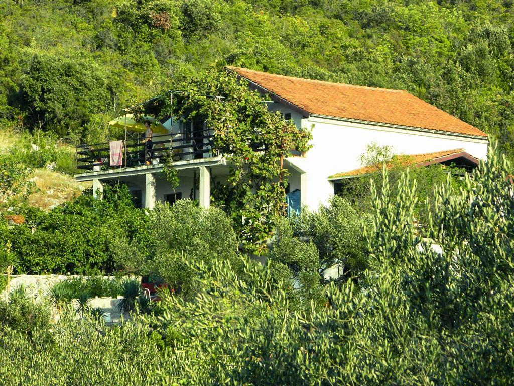 Bellavista Peljesac Peninsula Bed and Breakfast Dubrava  Rum bild