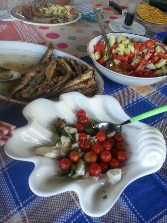 Bellavista Peljesac Peninsula Bed and Breakfast Dubrava  Exteriör bild